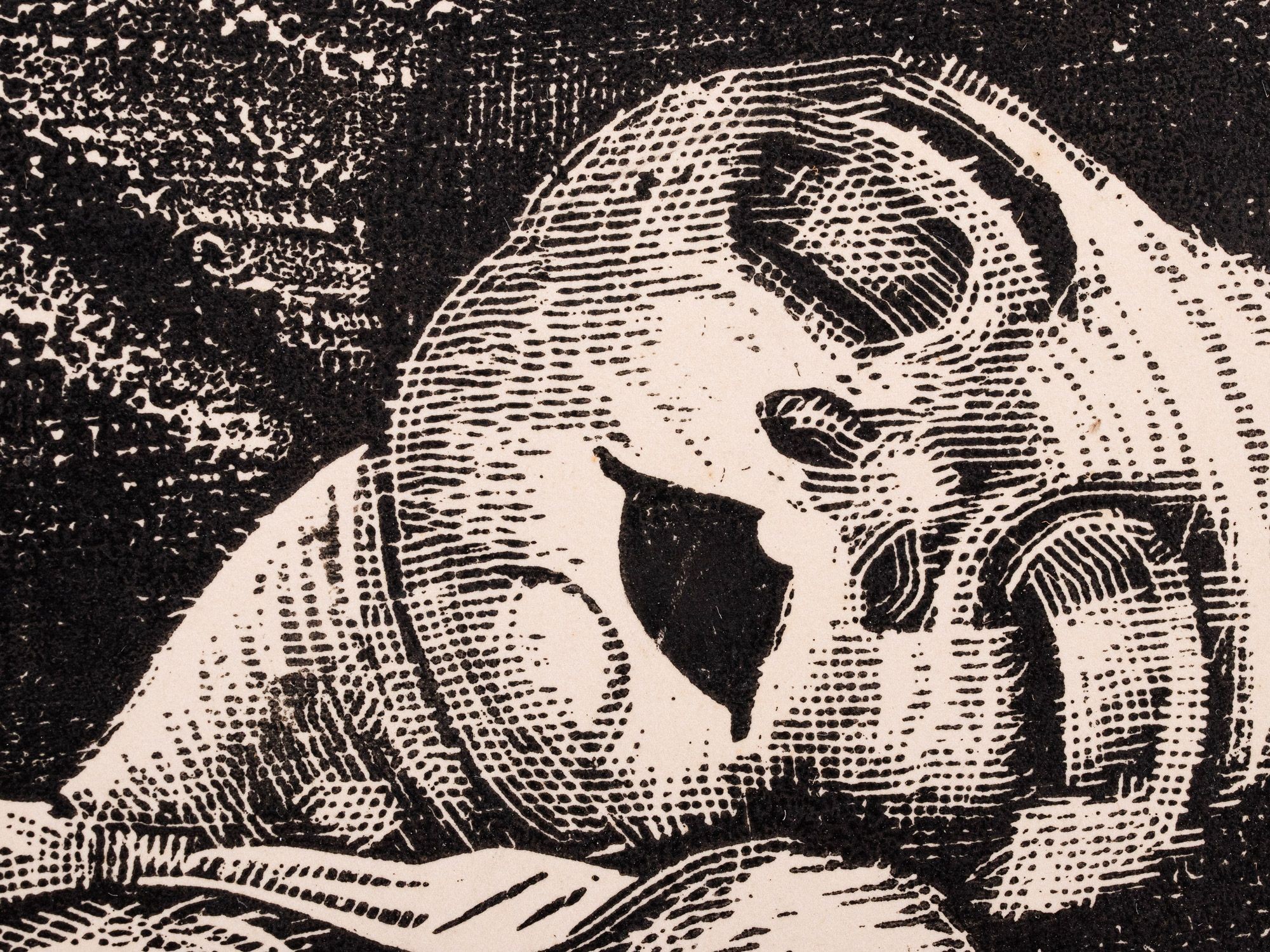 Lamav akt koera ja fööniksiga