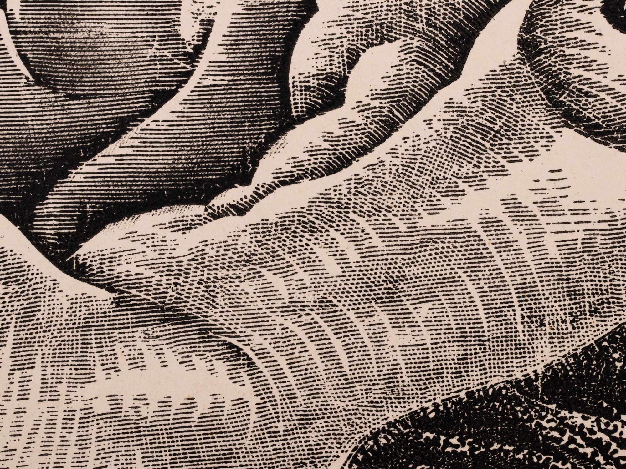 Lamav akt koera ja fööniksiga