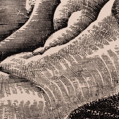 Lamav akt koera ja fööniksiga