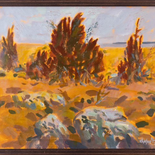 Varakevad Manõjal VI