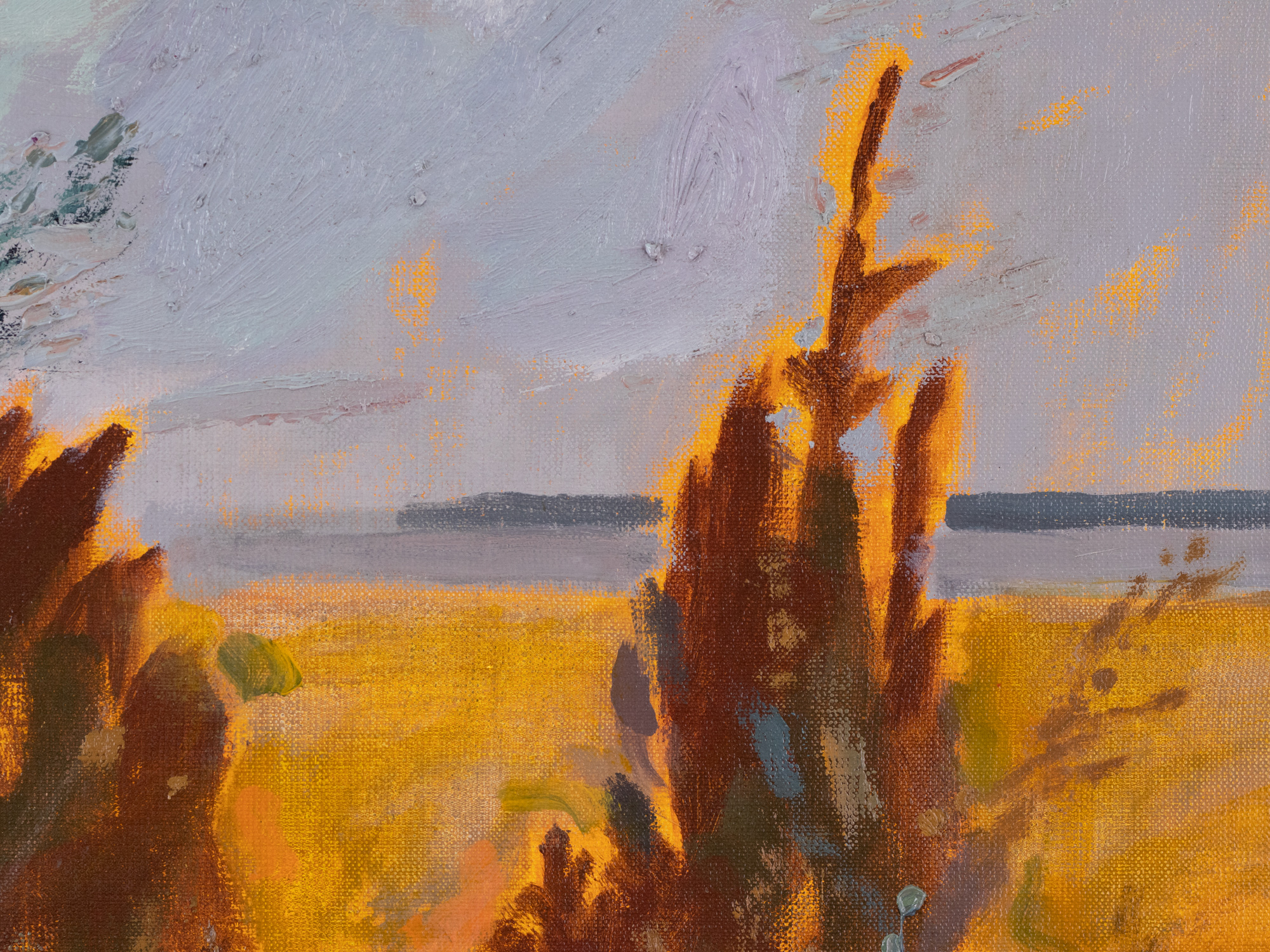 Varakevad Manõjal VI