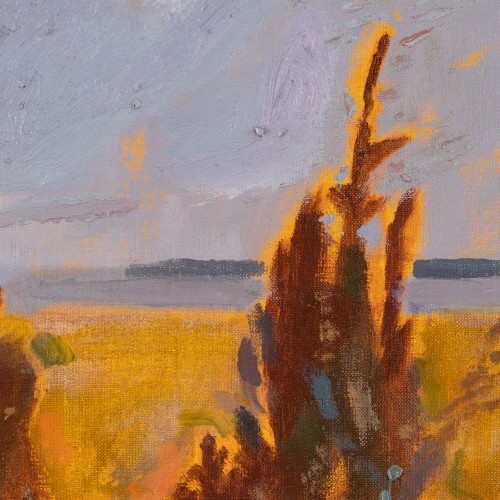 Varakevad Manõjal VI