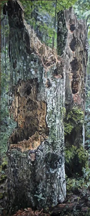 Hallid lepad Karulas