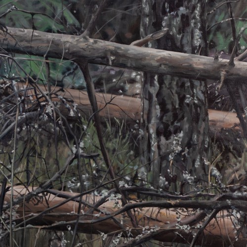 Tangles. Private Property