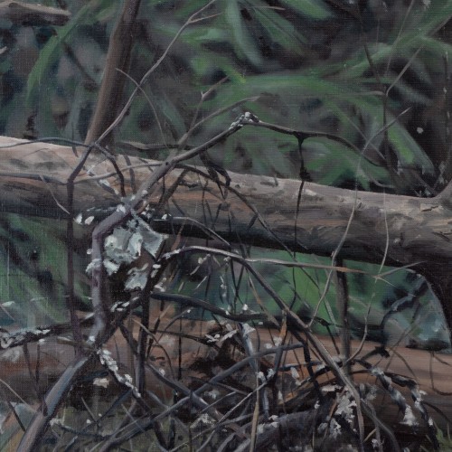 Tangles. Private Property