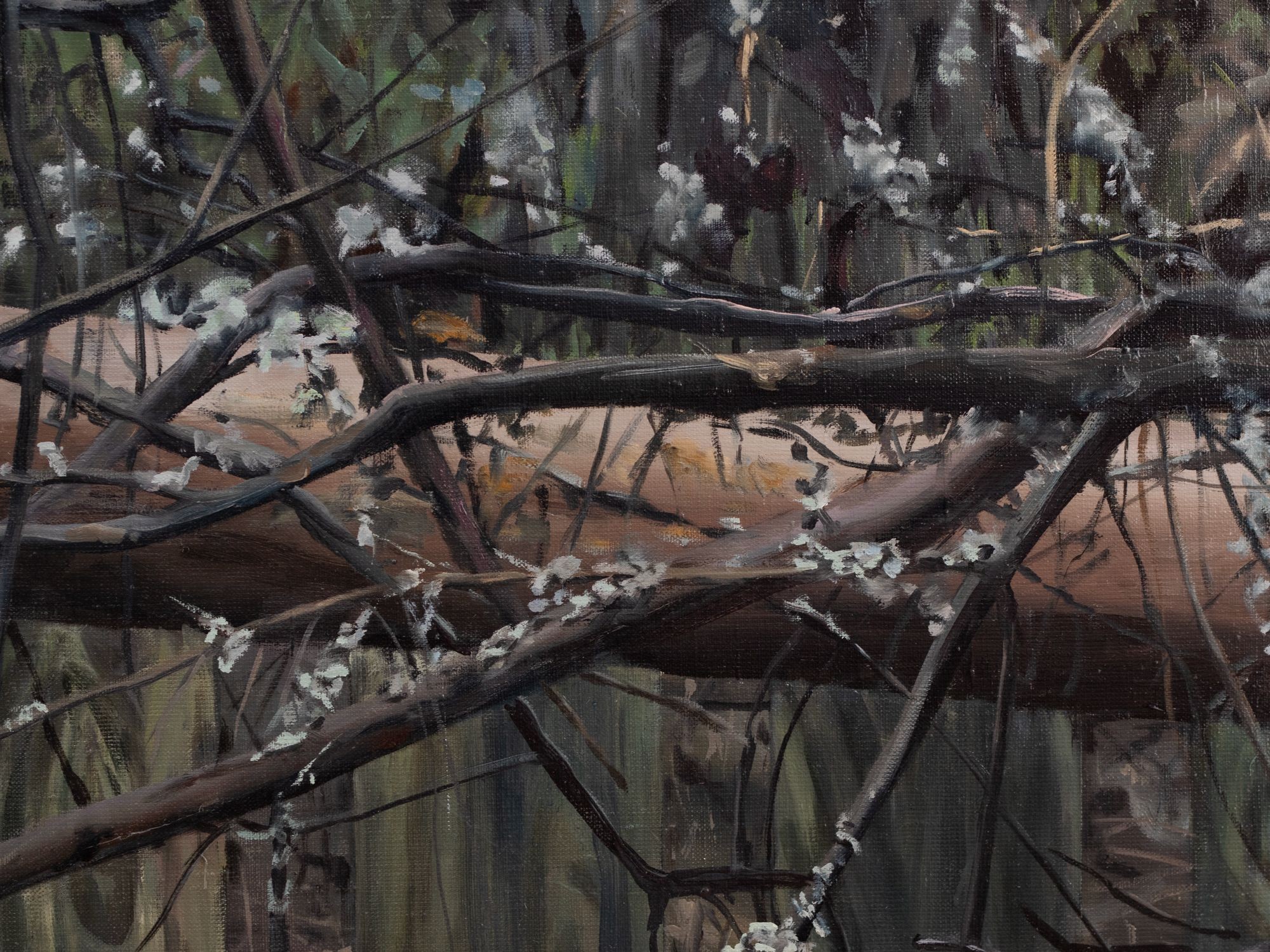 Tangles. Private Property