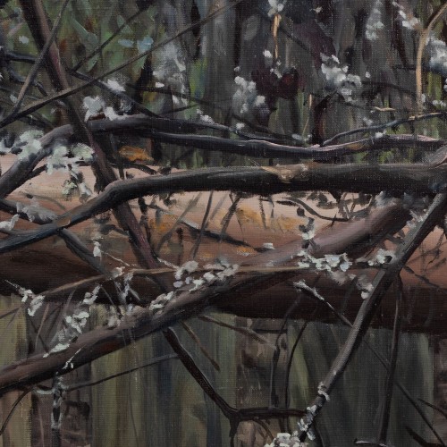 Tangles. Private Property