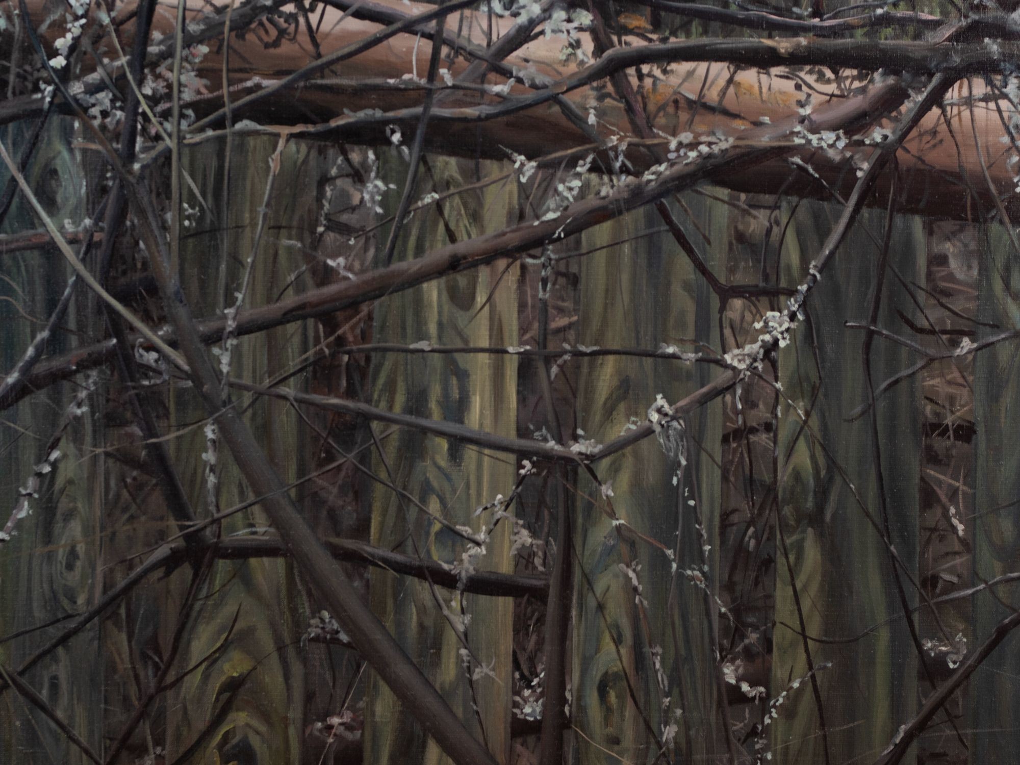 Tangles. Private Property