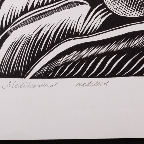 Mediteerivad modellid