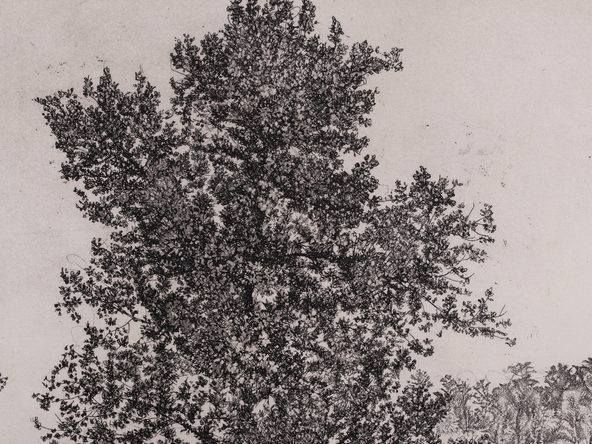 Maastik hobustega (Burgundia maastik)