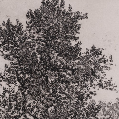 Maastik hobustega (Burgundia maastik)