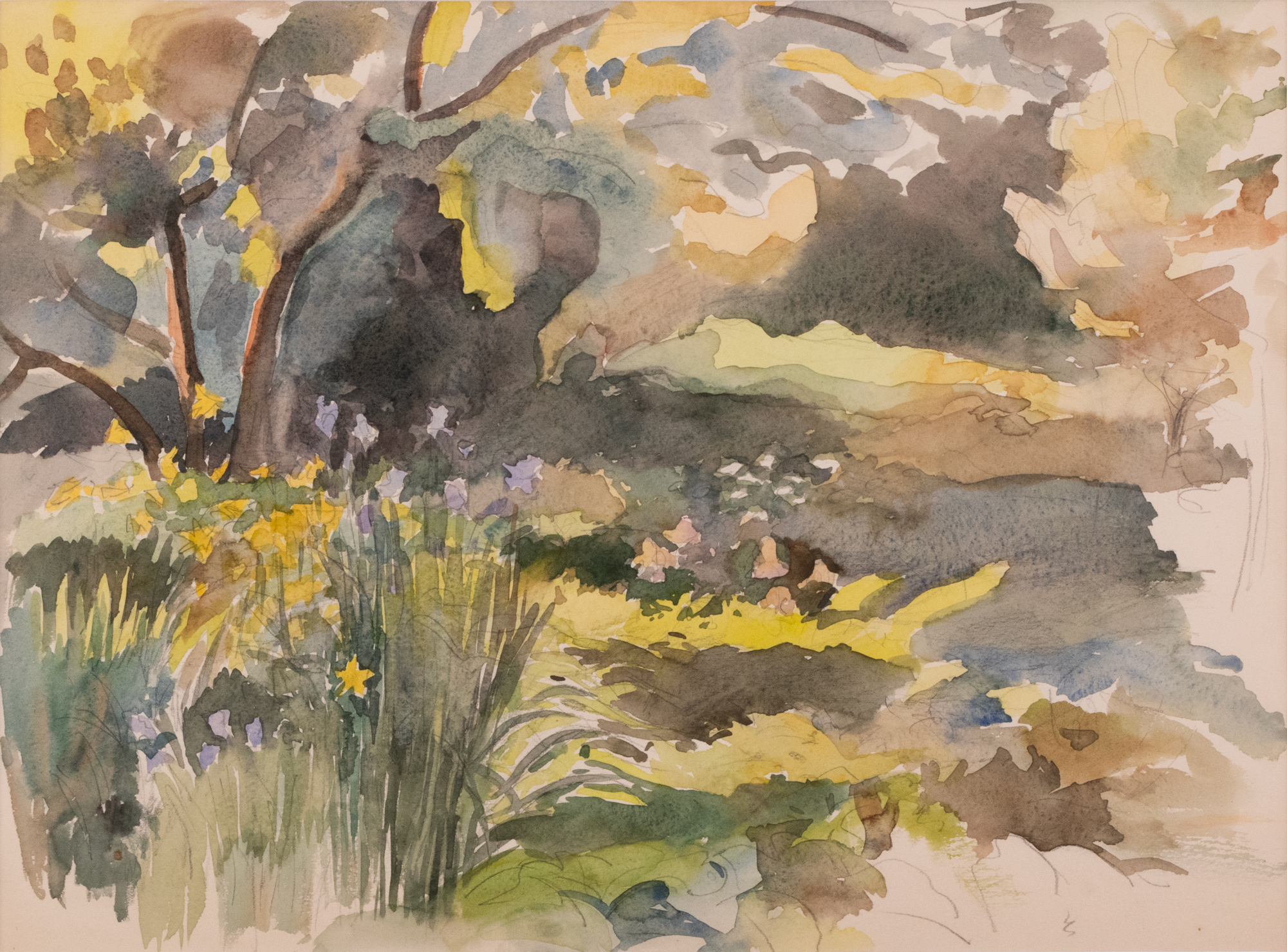 Pargimaastik nartsisside ja iiristega