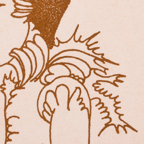 Naine ja lendlevad taimed