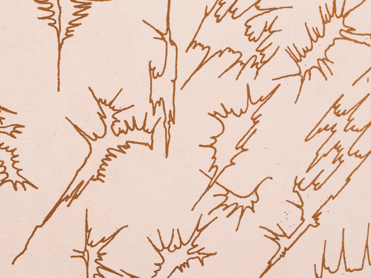 Naine ja lendlevad taimed