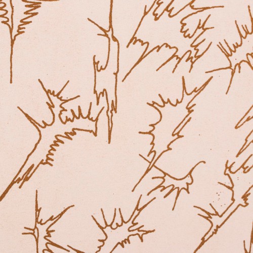 Naine ja lendlevad taimed