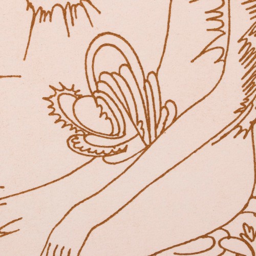 Naine ja lendlevad taimed