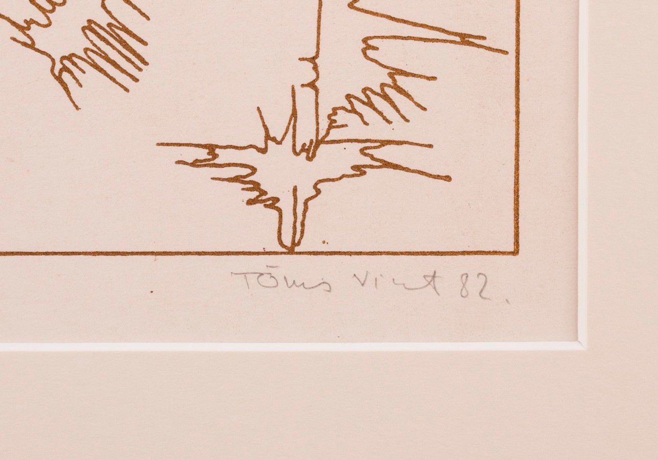 Naine ja lendlevad taimed