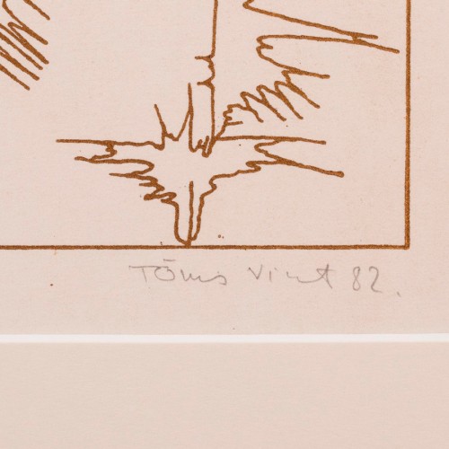 Naine ja lendlevad taimed