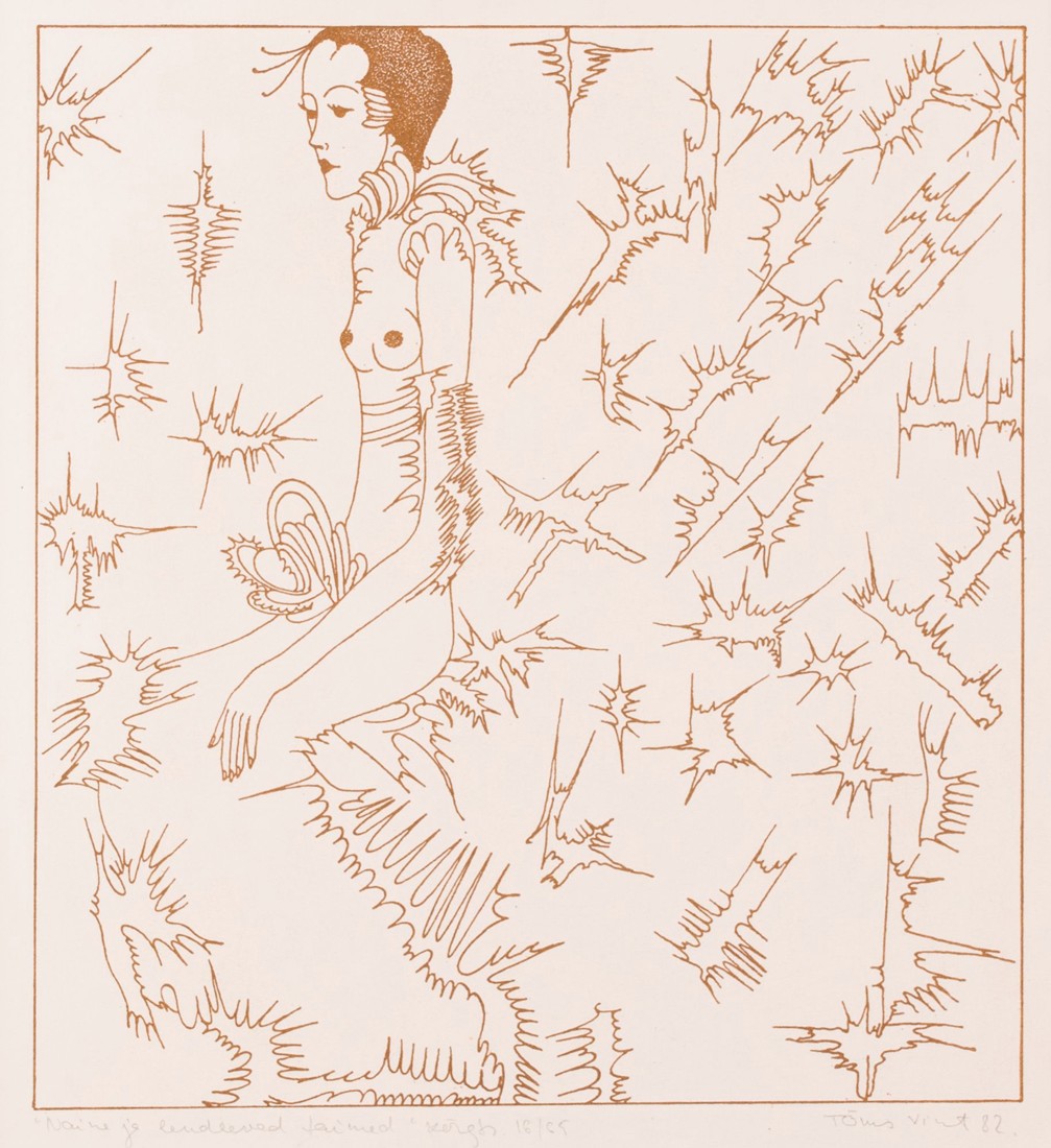 Naine ja lendlevad taimed