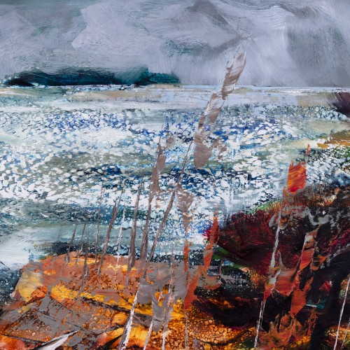 Rannavaade purjepaadiga