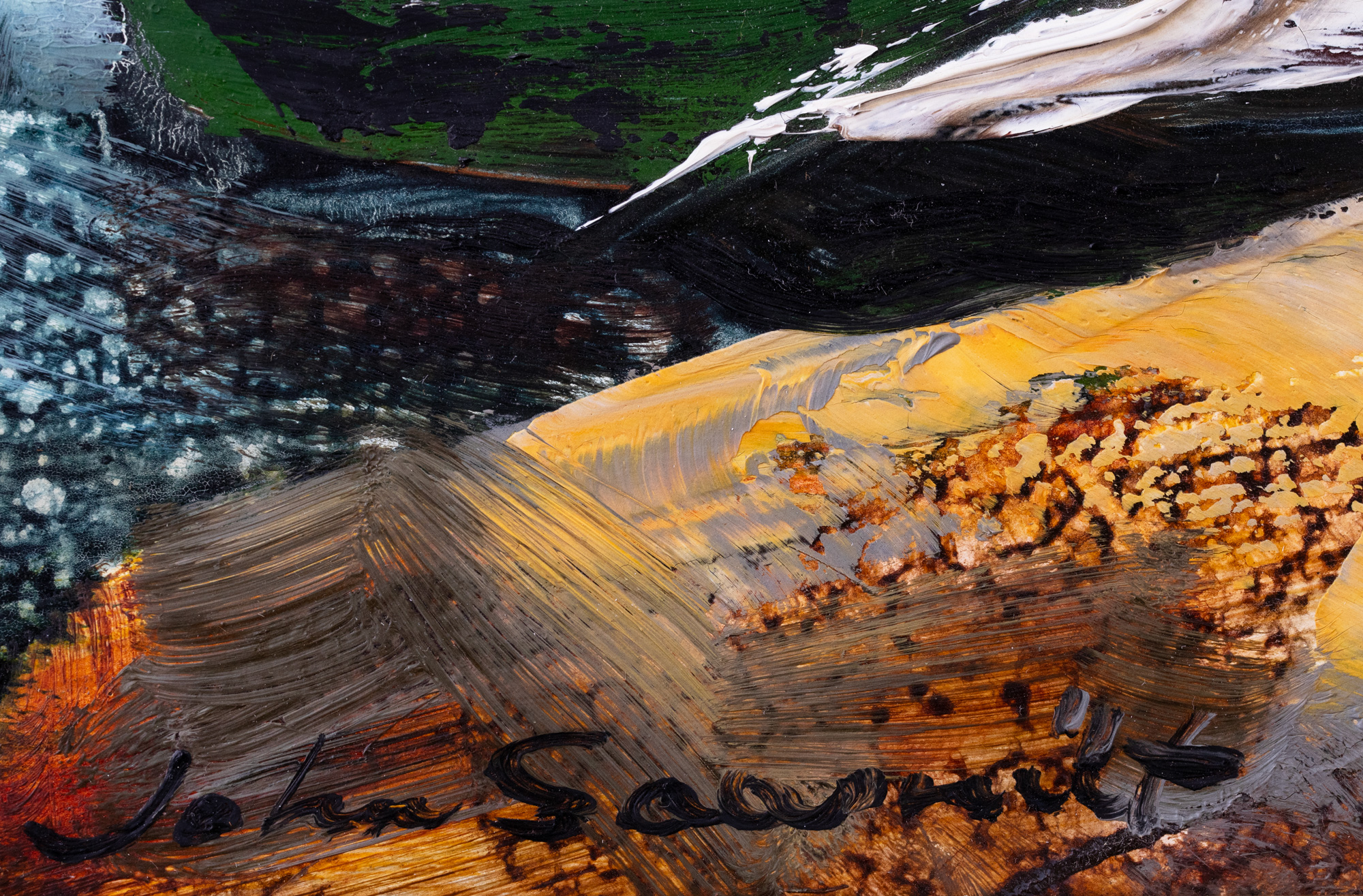 Rannavaade purjepaadiga