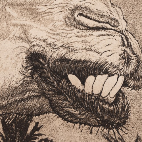 Berberi tüdruk kaameliga