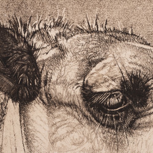 Berberi tüdruk kaameliga