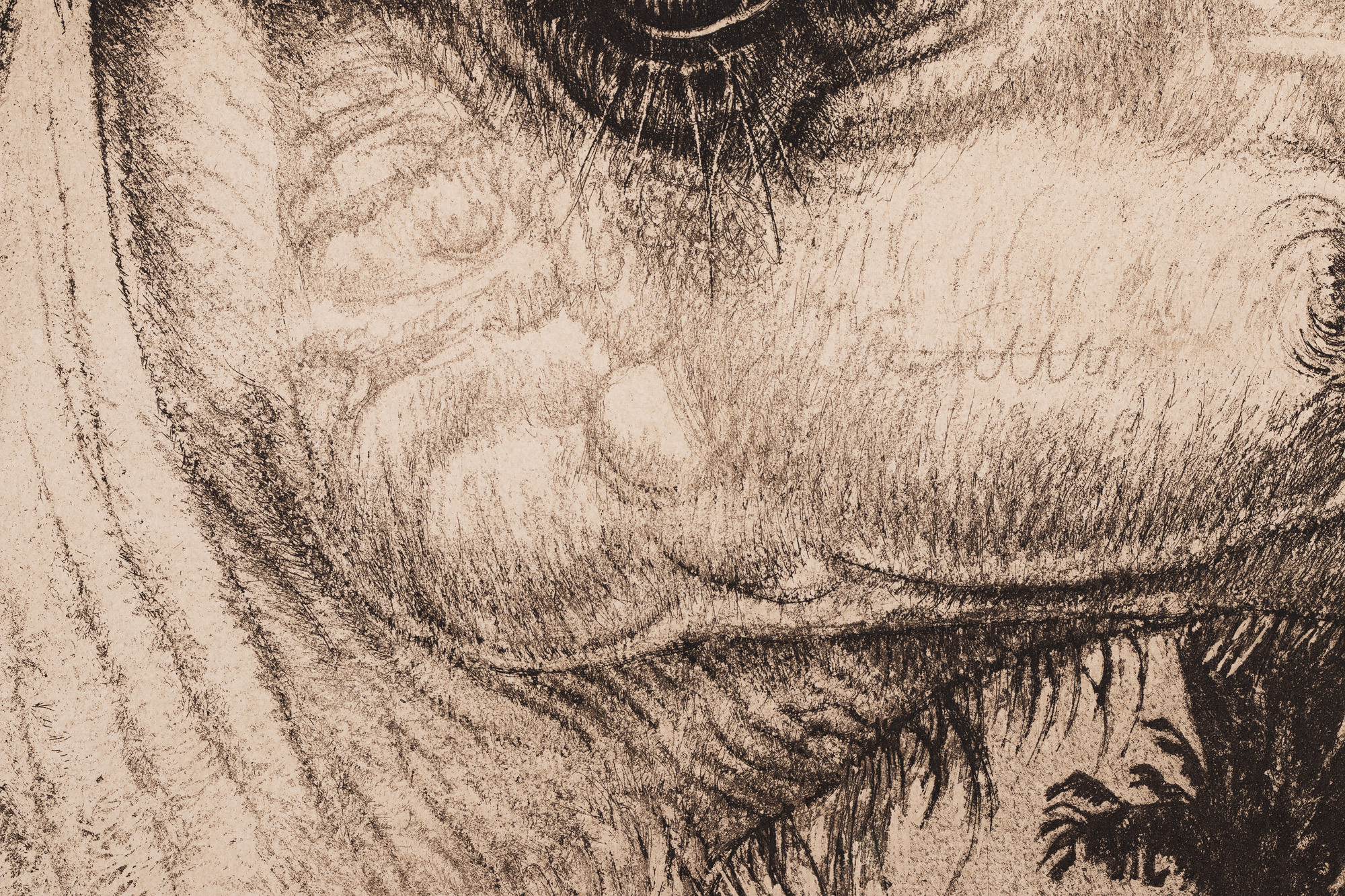 Berberi tüdruk kaameliga