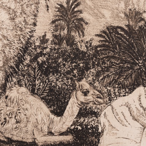 Berberi tüdruk kaameliga