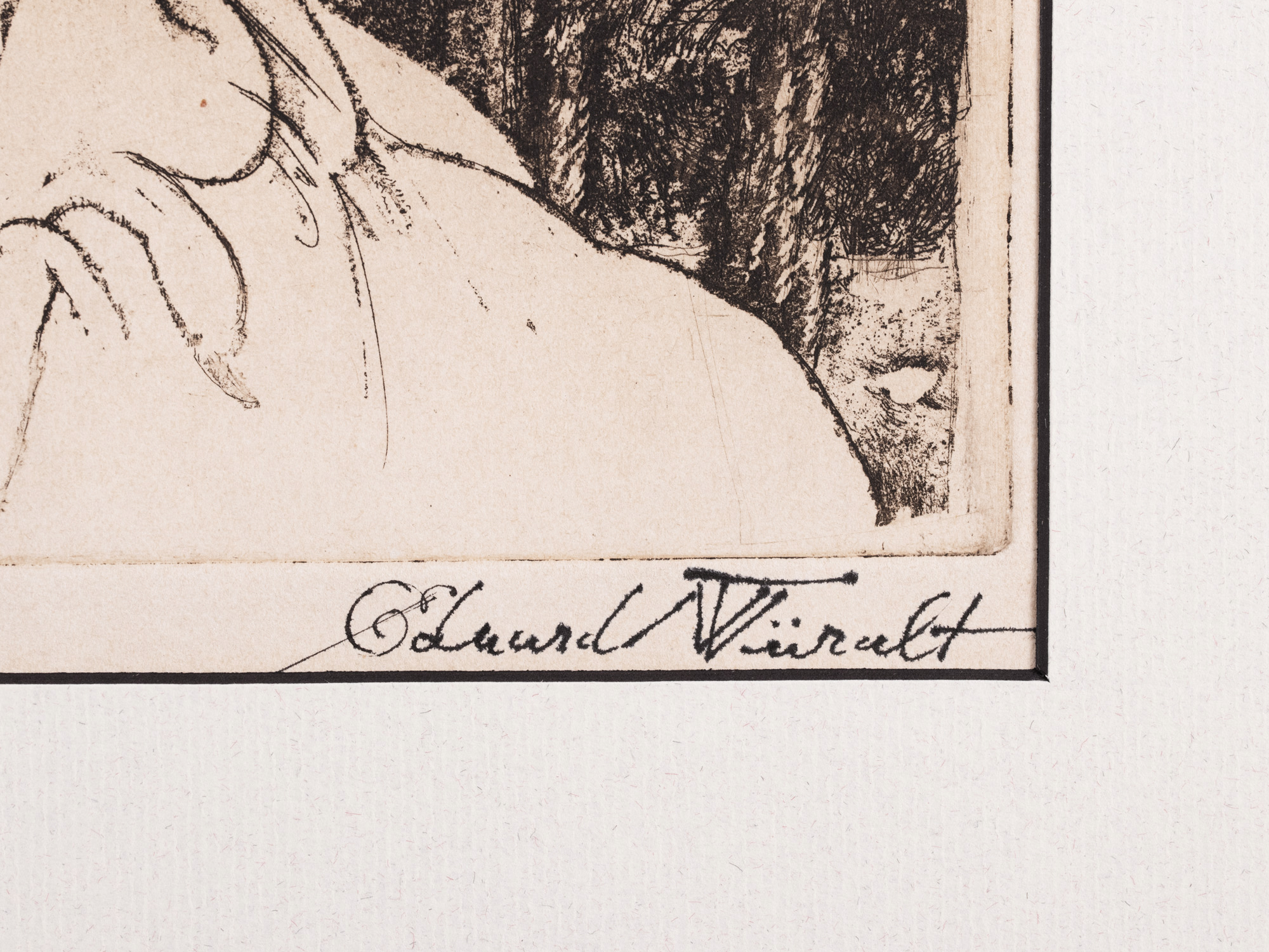 Berberi tüdruk kaameliga