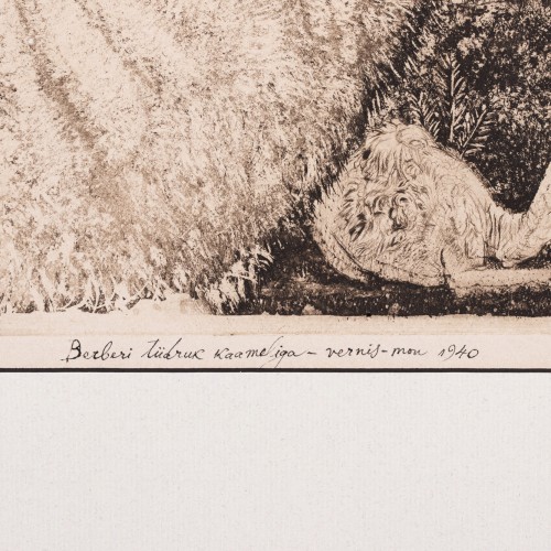 Berberi tüdruk kaameliga