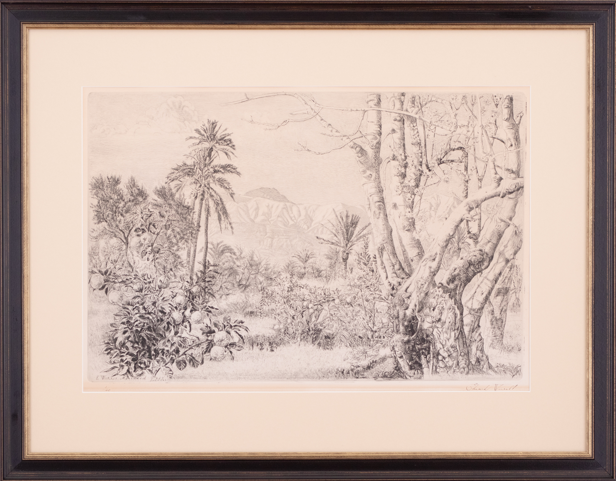 Marrakeši maastik (Vaade Atlase mägedele)