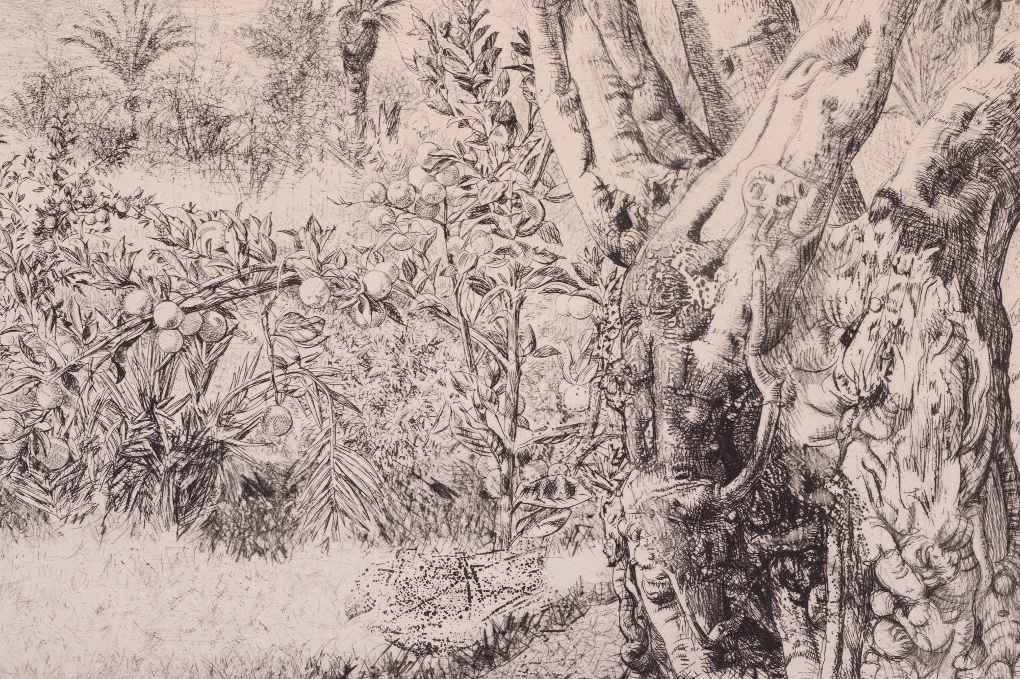 Marrakeši maastik (Vaade Atlase mägedele)