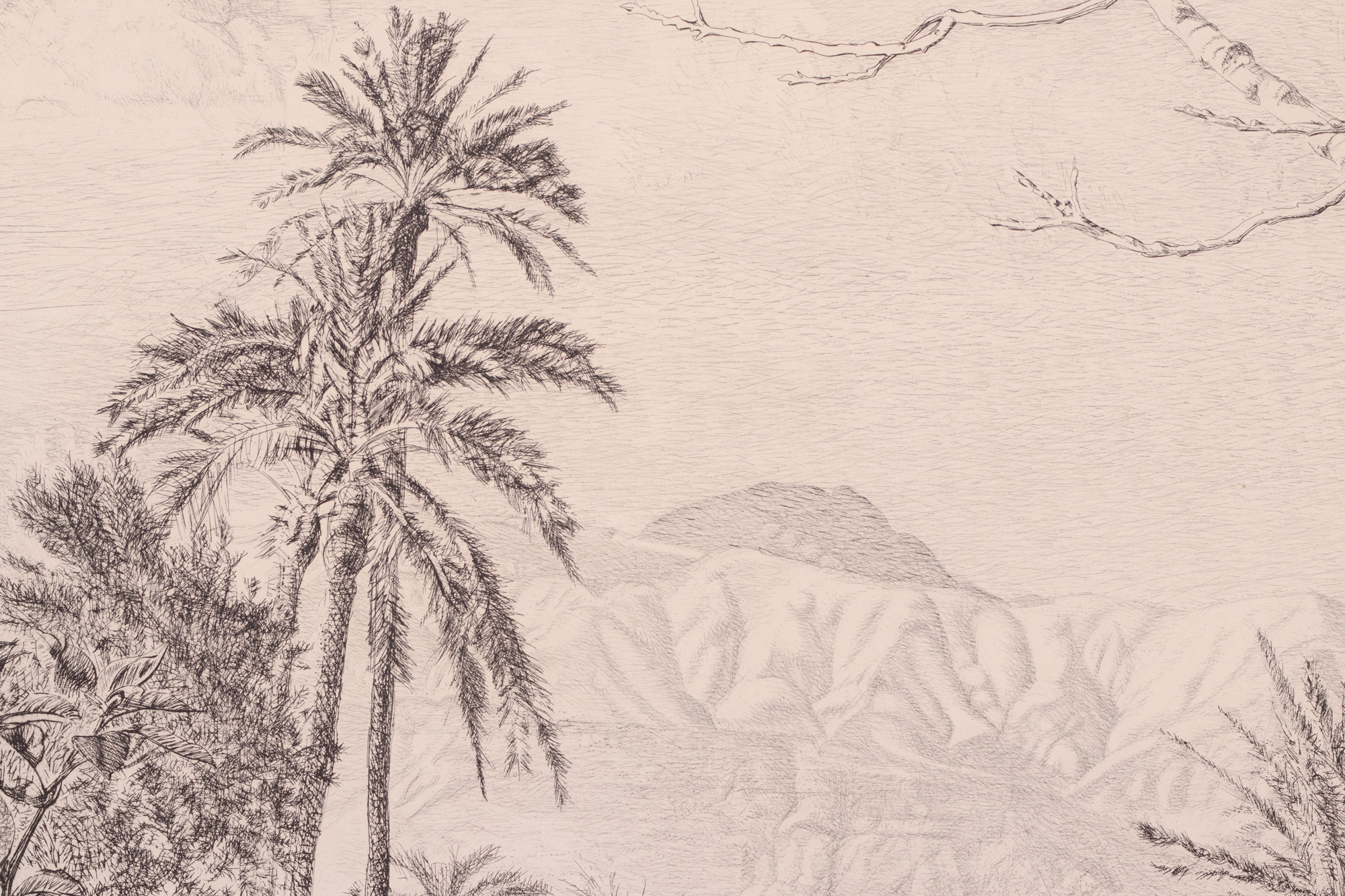 Marrakeši maastik (Vaade Atlase mägedele)