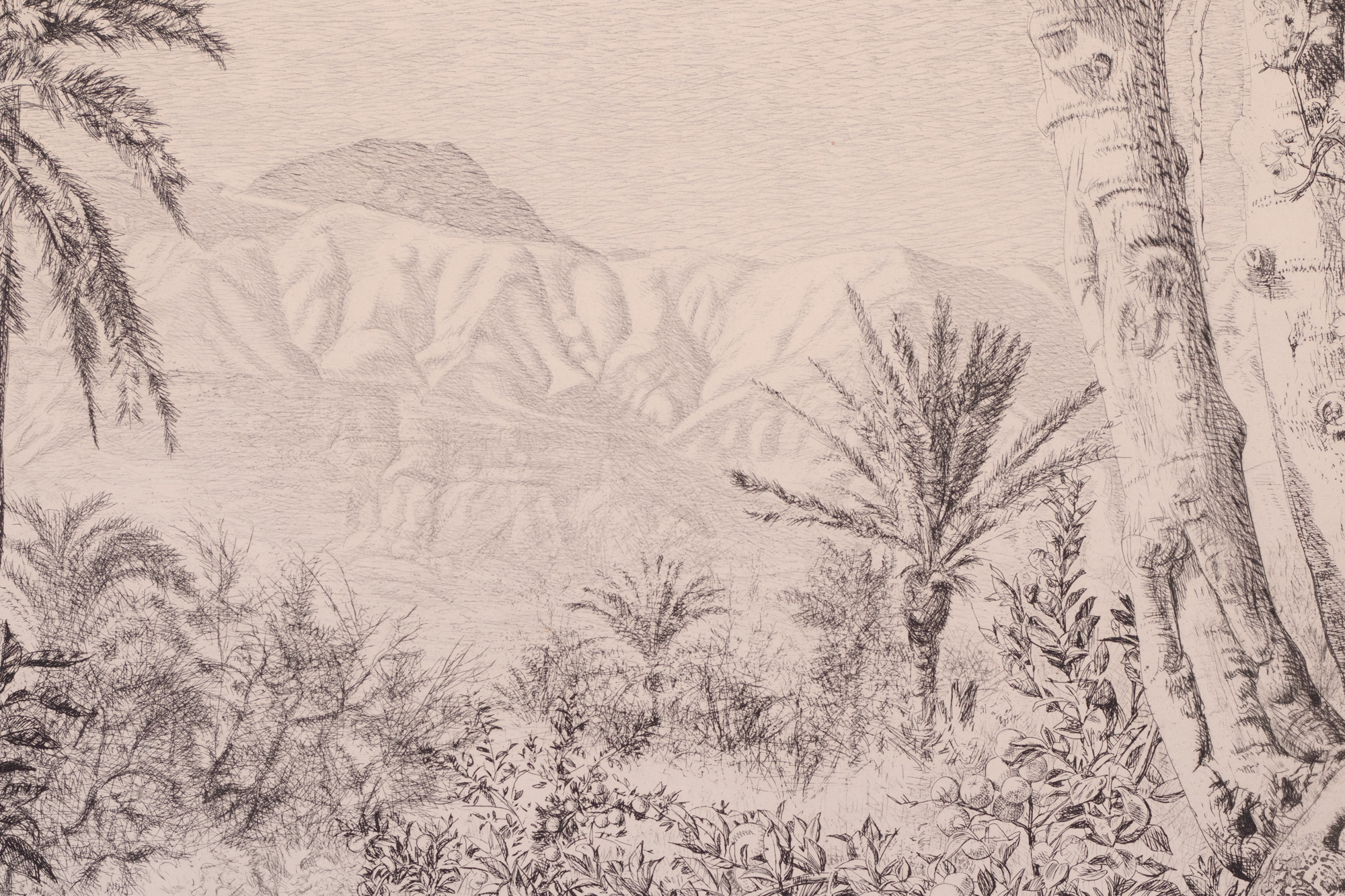 Marrakeši maastik (Vaade Atlase mägedele)