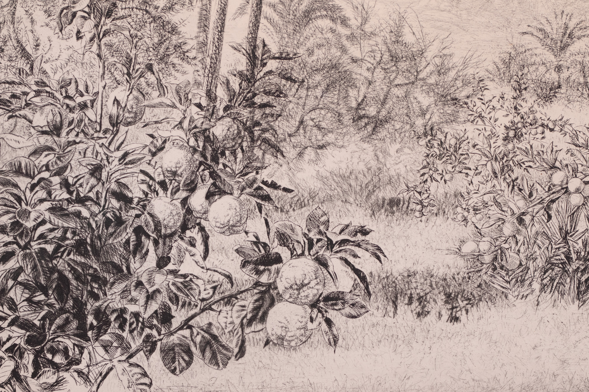 Marrakeši maastik (Vaade Atlase mägedele)