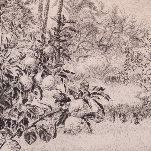 Marrakeši maastik (Vaade Atlase mägedele)