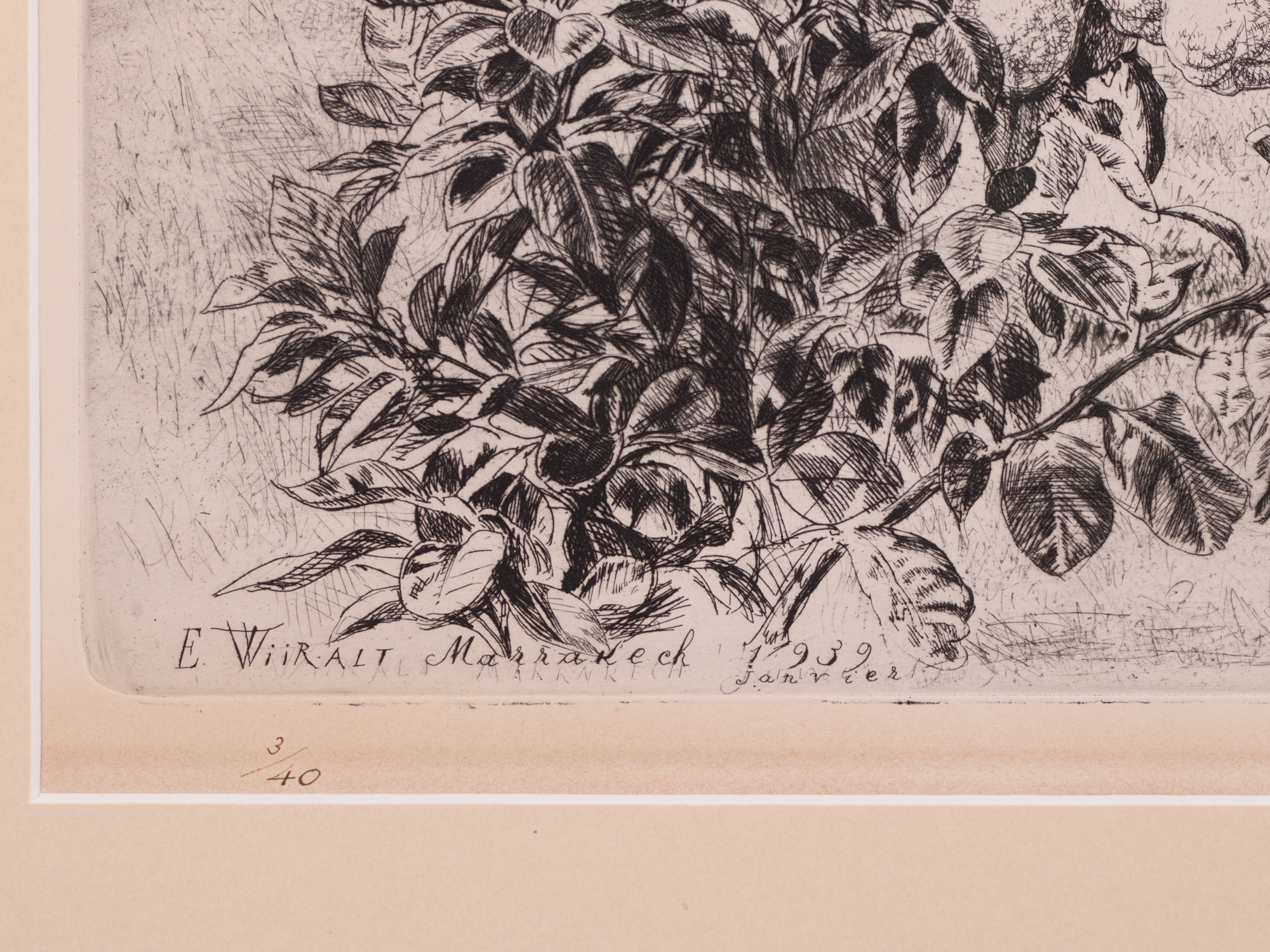 Marrakeši maastik (Vaade Atlase mägedele)