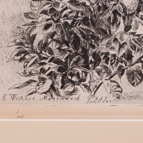 Marrakeši maastik (Vaade Atlase mägedele)