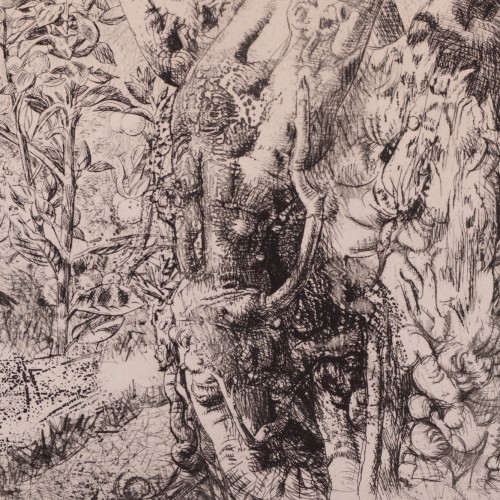 Marrakeši maastik (Vaade Atlase mägedele)