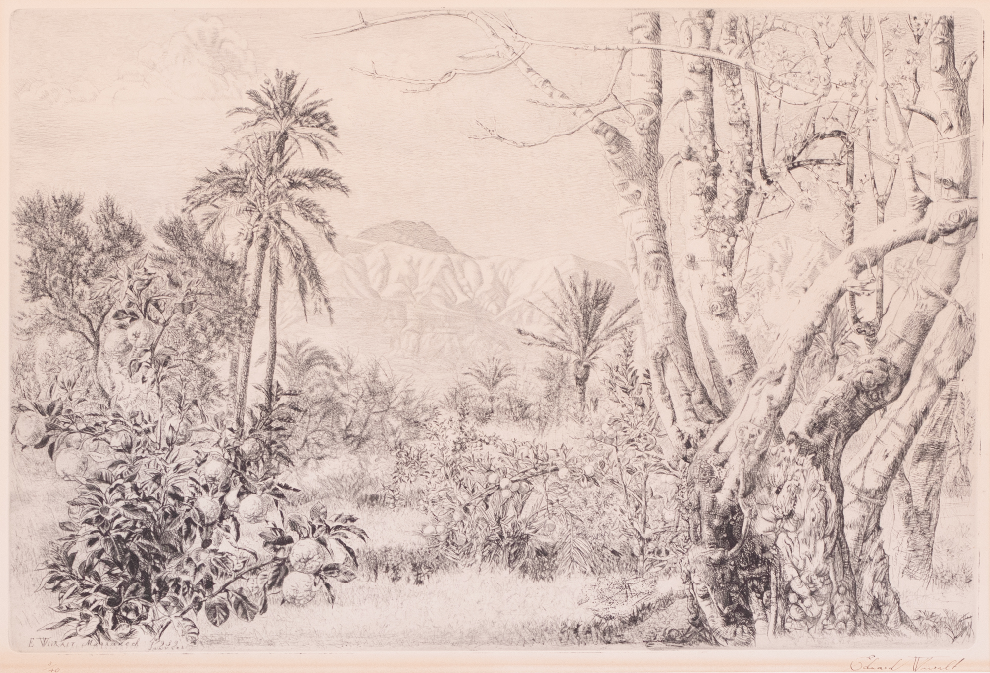 Marrakeši maastik (Vaade Atlase mägedele)