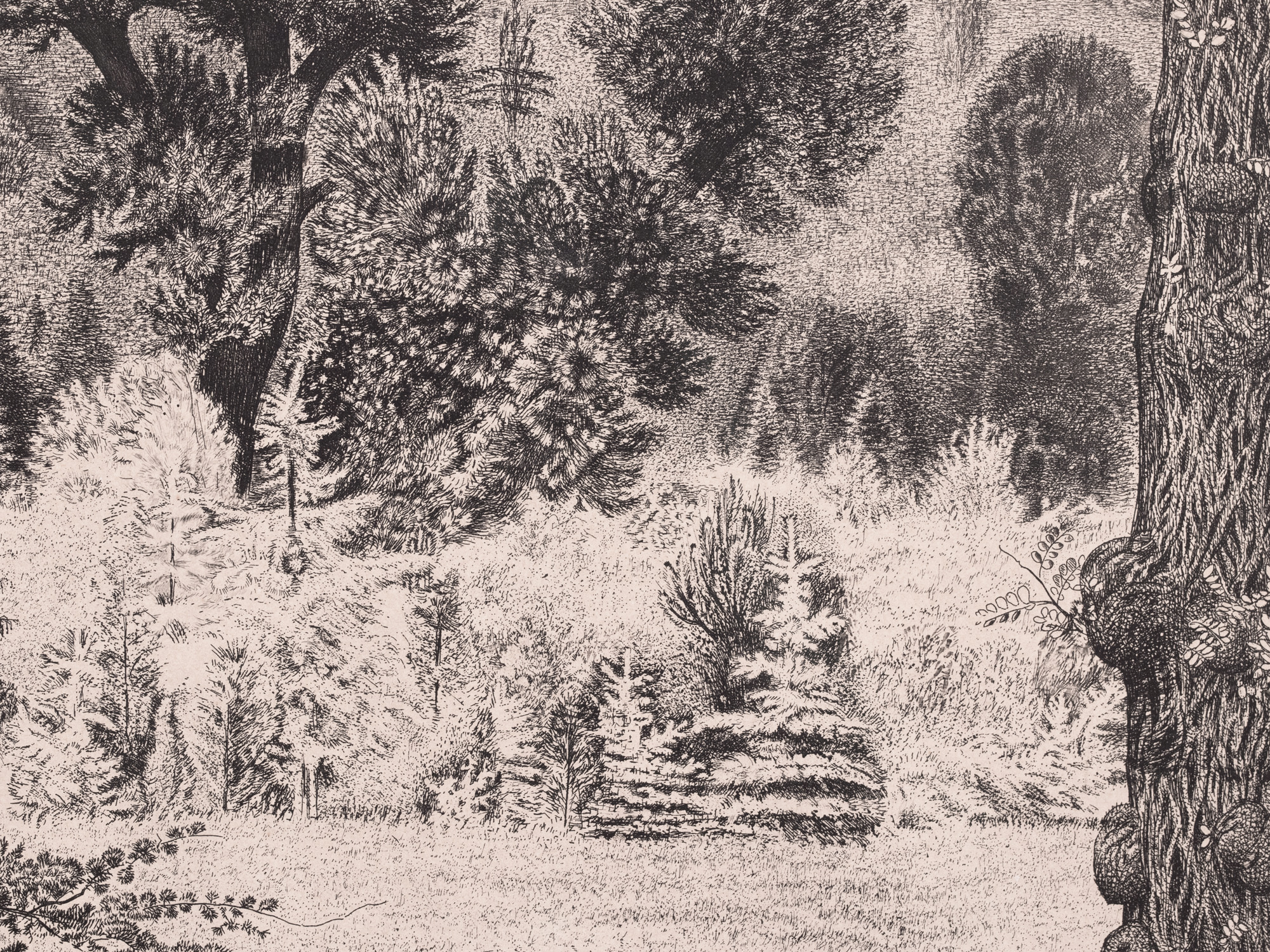 Maastik Pariisi lähedal