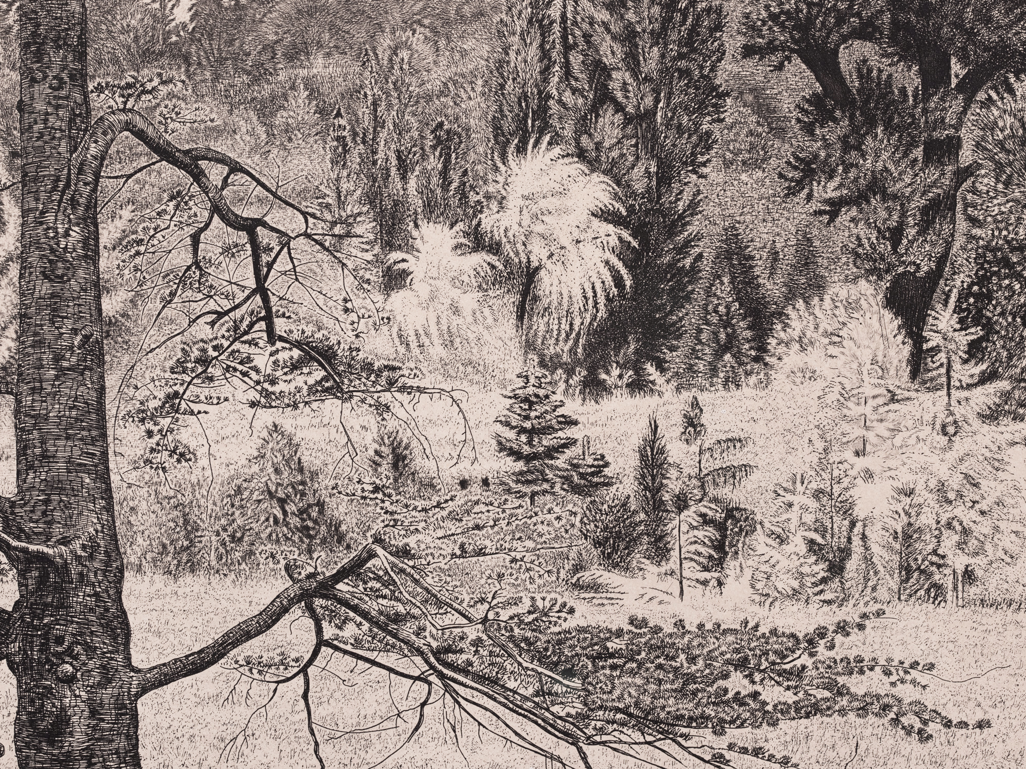 Maastik Pariisi lähedal