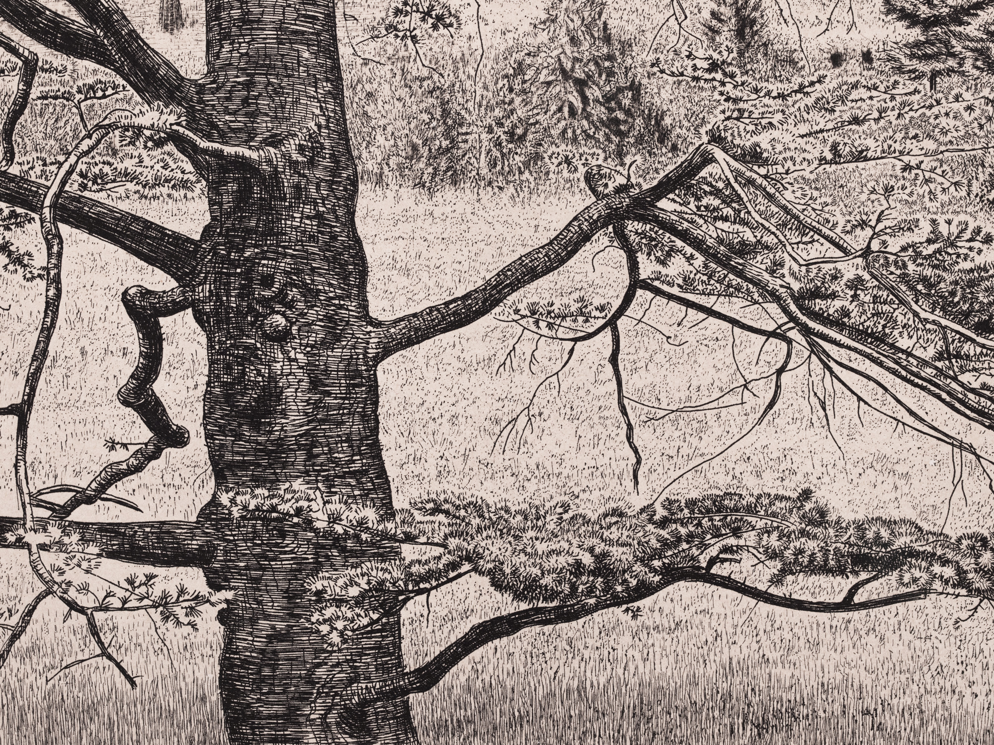 Maastik Pariisi lähedal