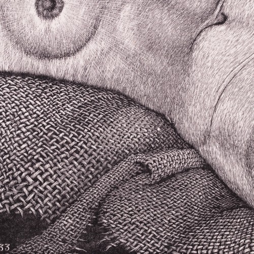 Lamav akt kanepiriidel (II seisund)