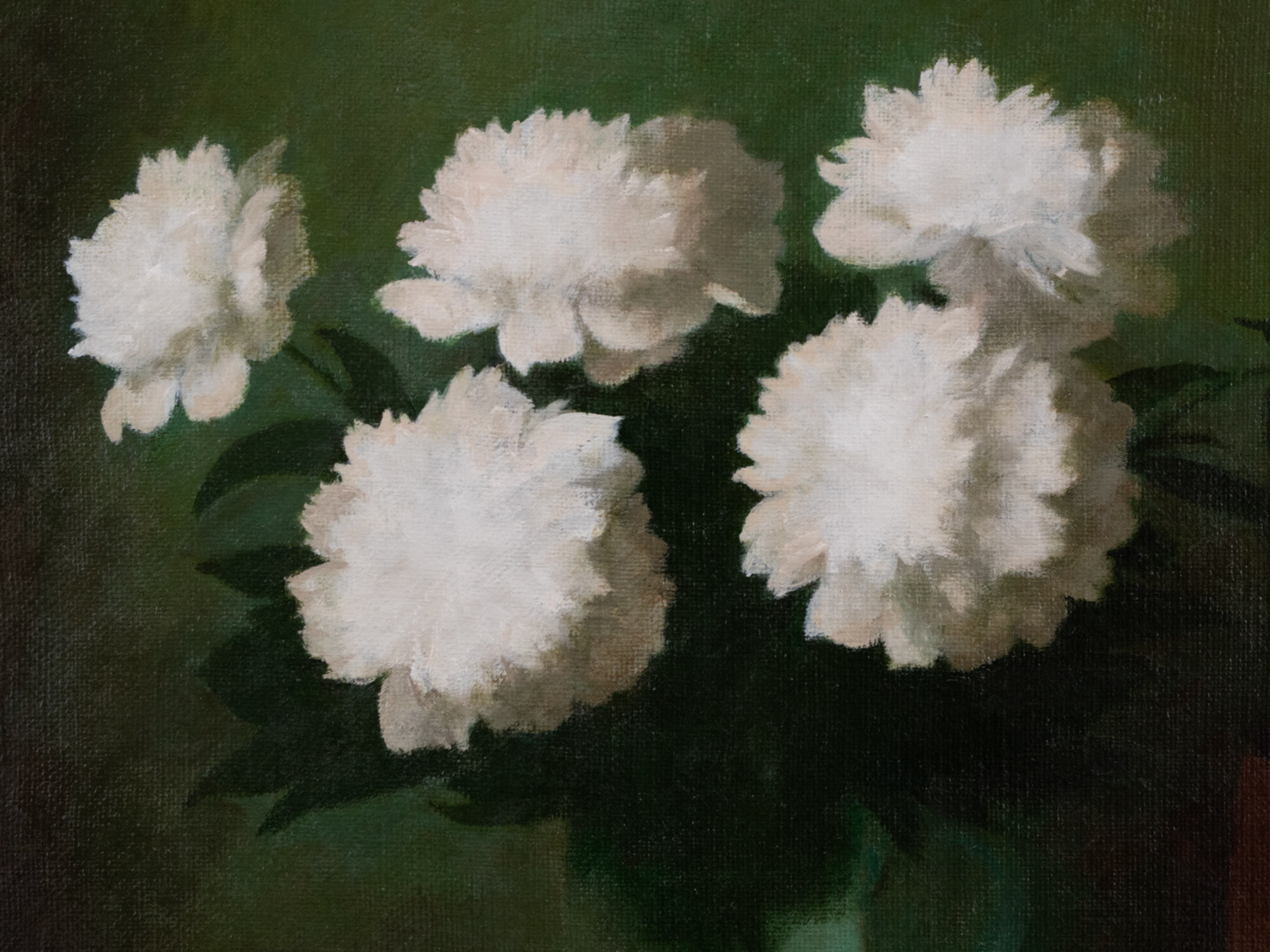 Valged pojengid kahe muna ja kahe greibiga