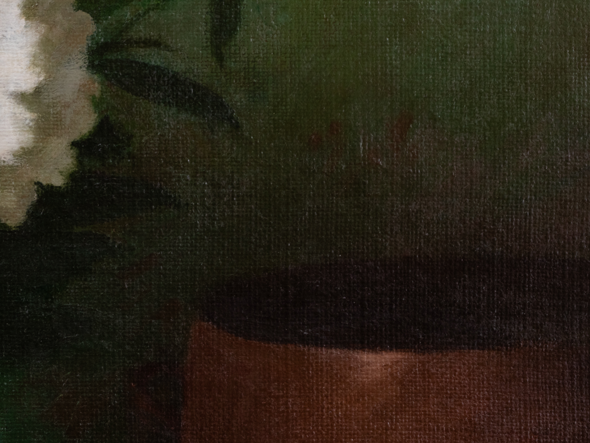 Valged pojengid kahe muna ja kahe greibiga