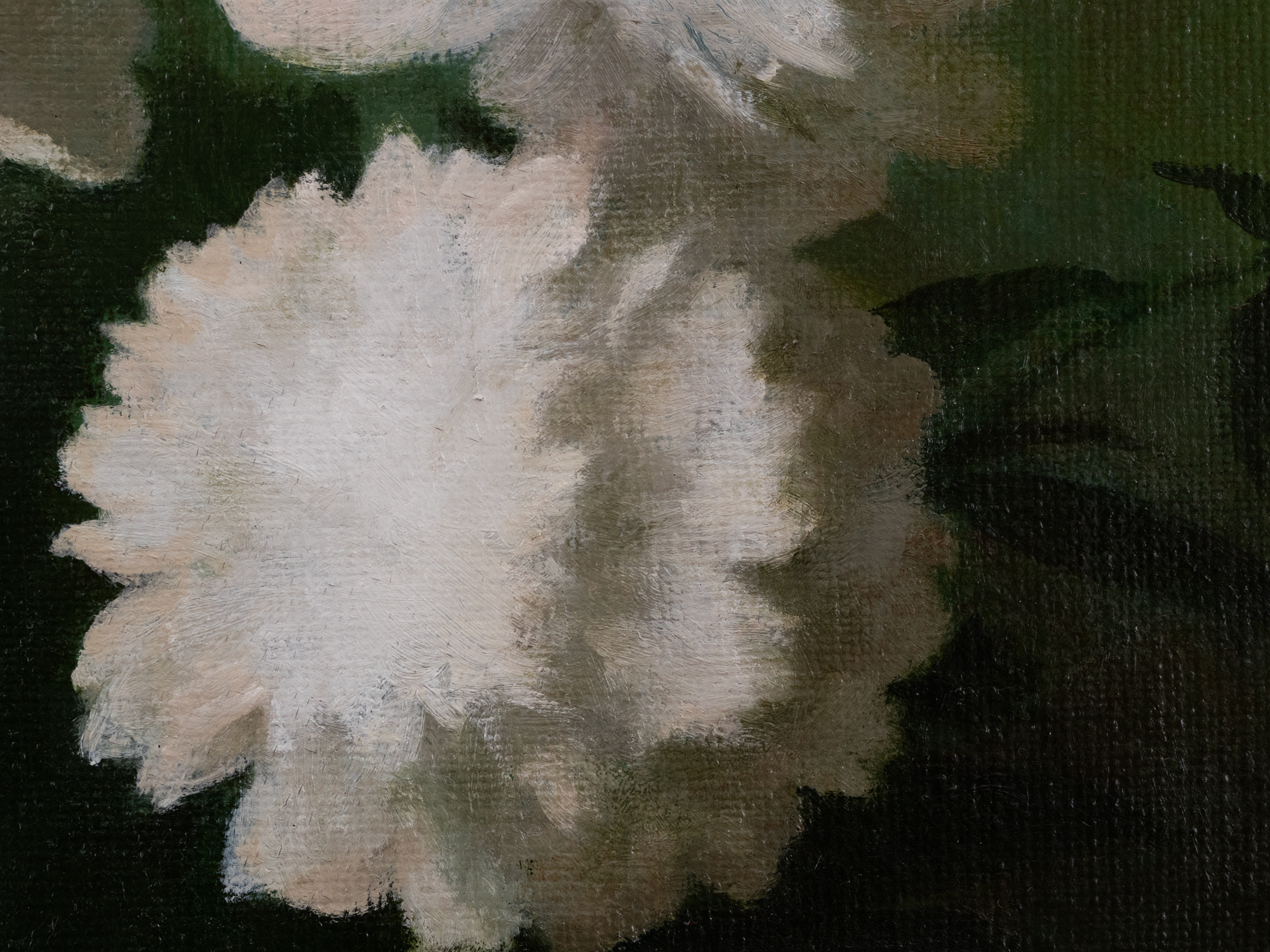 Valged pojengid kahe muna ja kahe greibiga