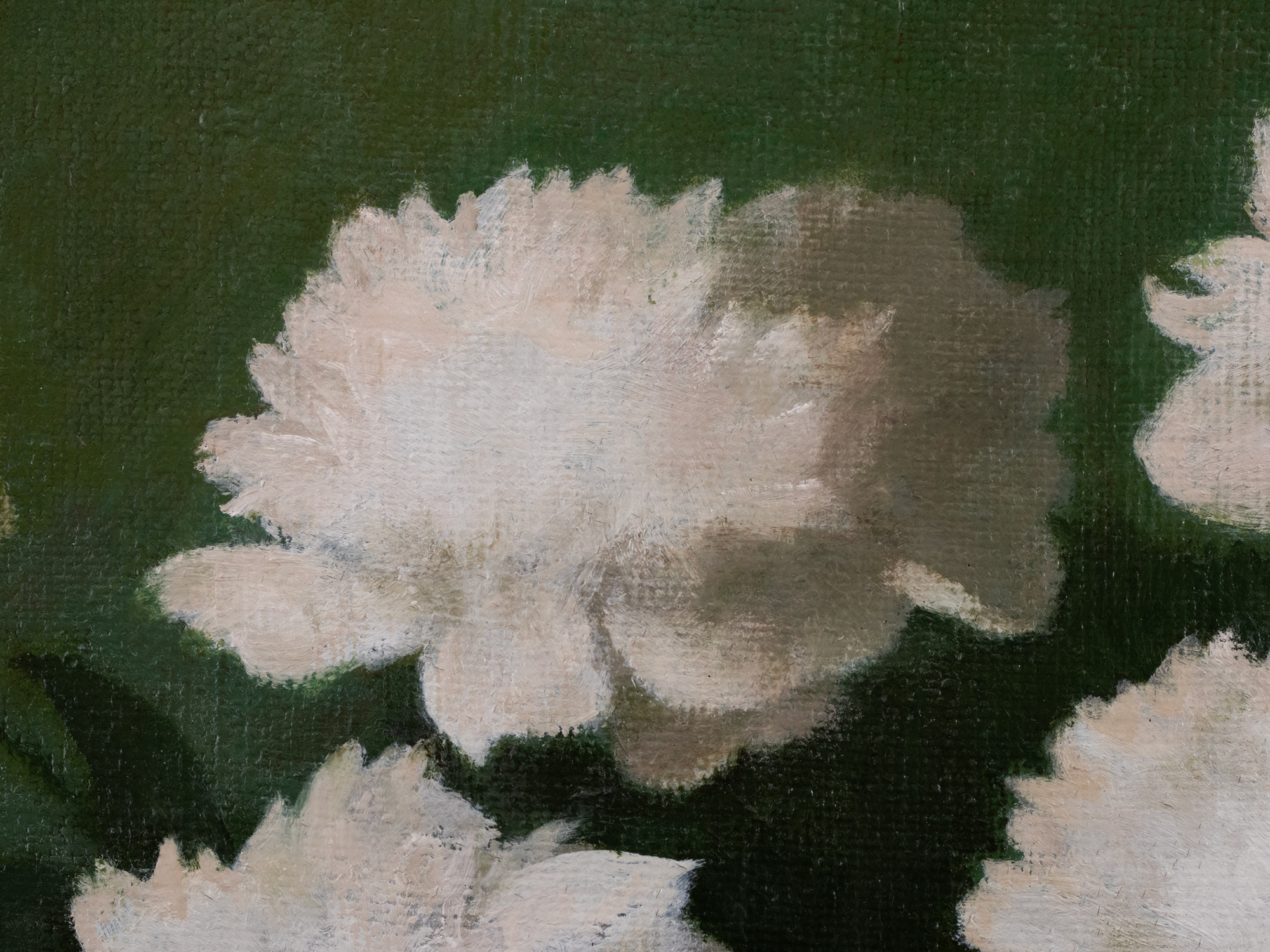 Valged pojengid kahe muna ja kahe greibiga