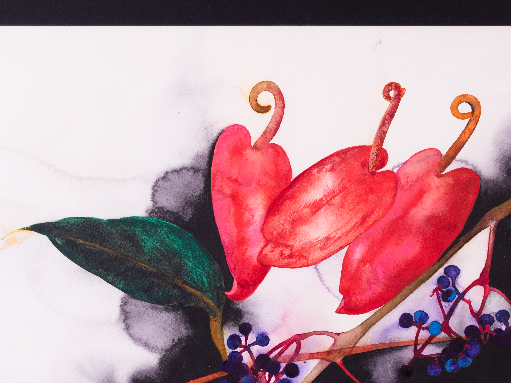 Kompositsioon flamingolilledega